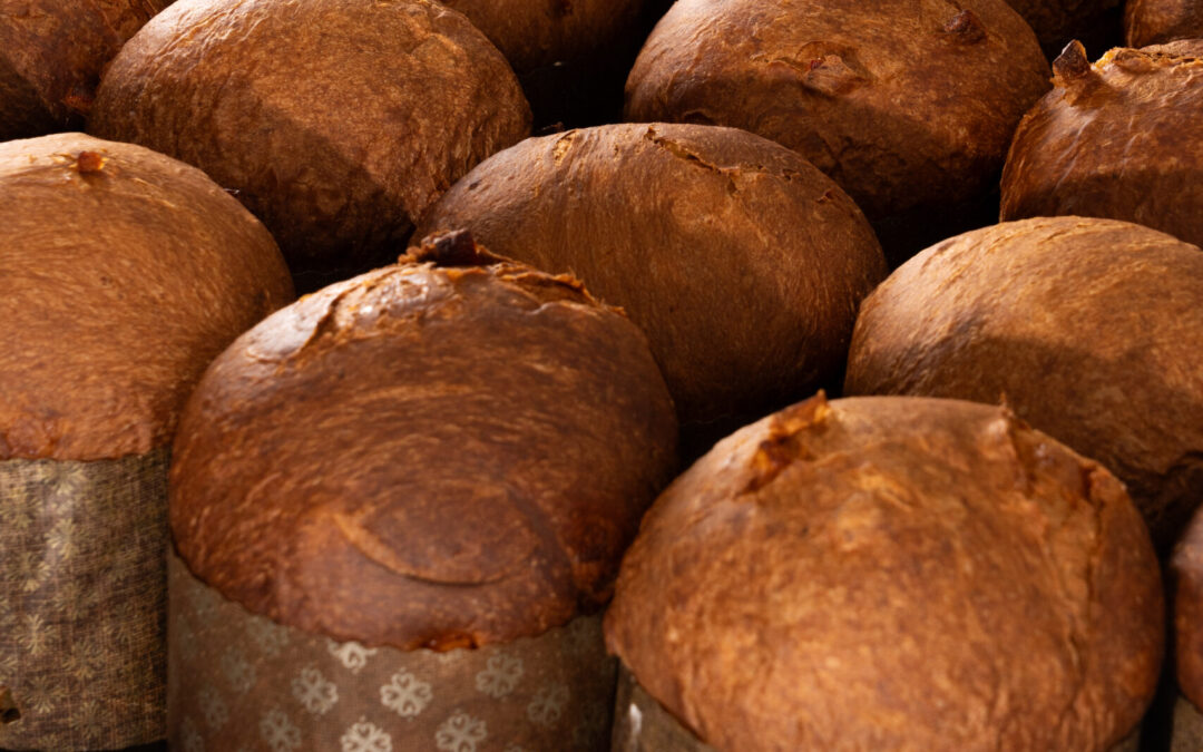Panettoni